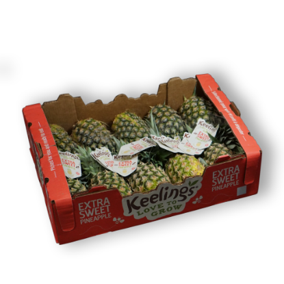 Kép Ananász I.o x10 /Kapi/ CR