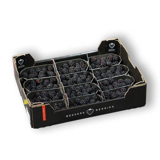 Kép Földi szeder I.o (12x125g) NL